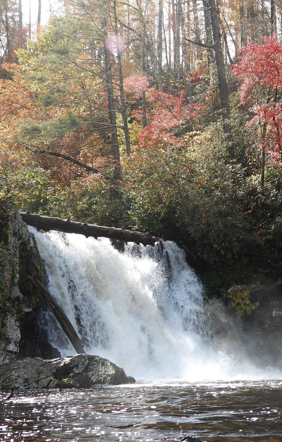Abrams Falls Trail, Great Smoky Mountains National Park