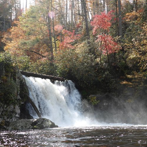 Abrams Falls Trail