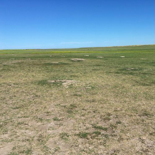 Robert Prairie Dog Town