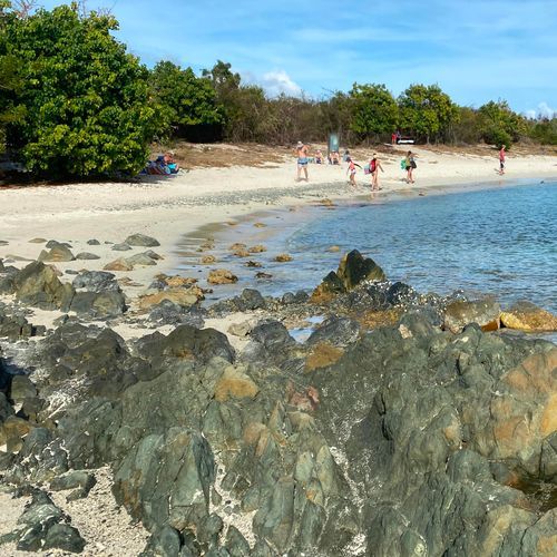 Saltpond Bay Trail