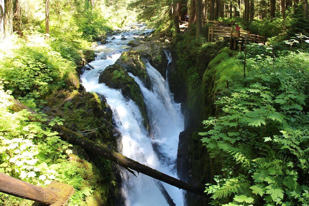 Sol Duc Falls Trail, Olympic National Park