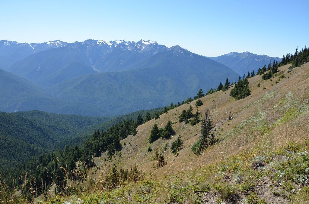 Exploring Hurricane Ridge, Olympic National Park