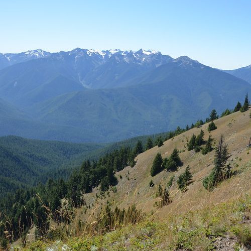 Hurricane Ridge