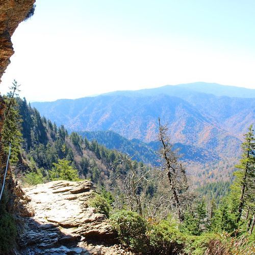 Alum Cave Trail
