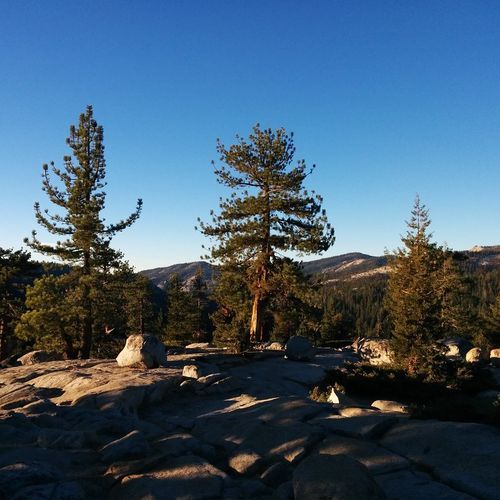 Viewpoint
