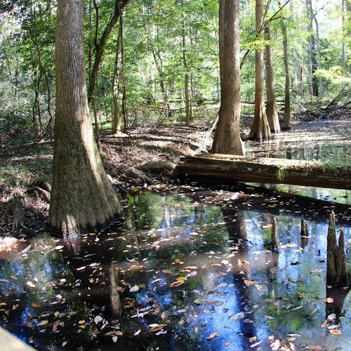 River Trail