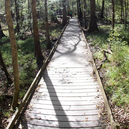Sims Trail