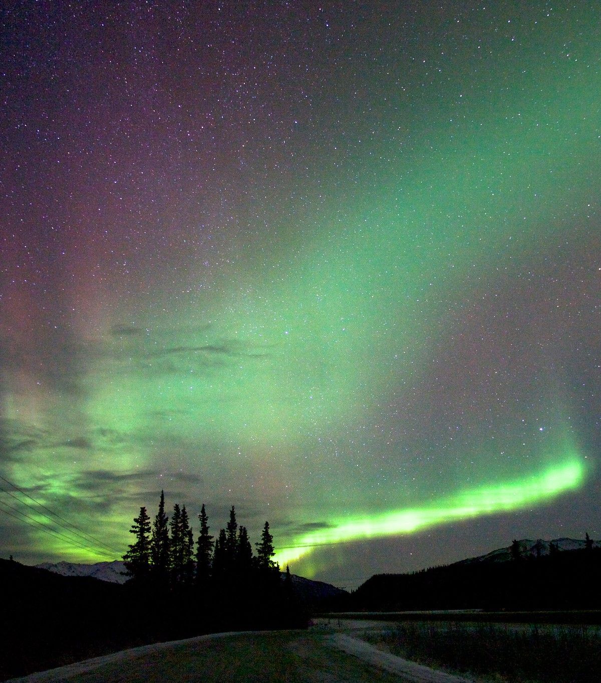 Dark-Season Stargazing in Denali, Denali National Park & Preserve