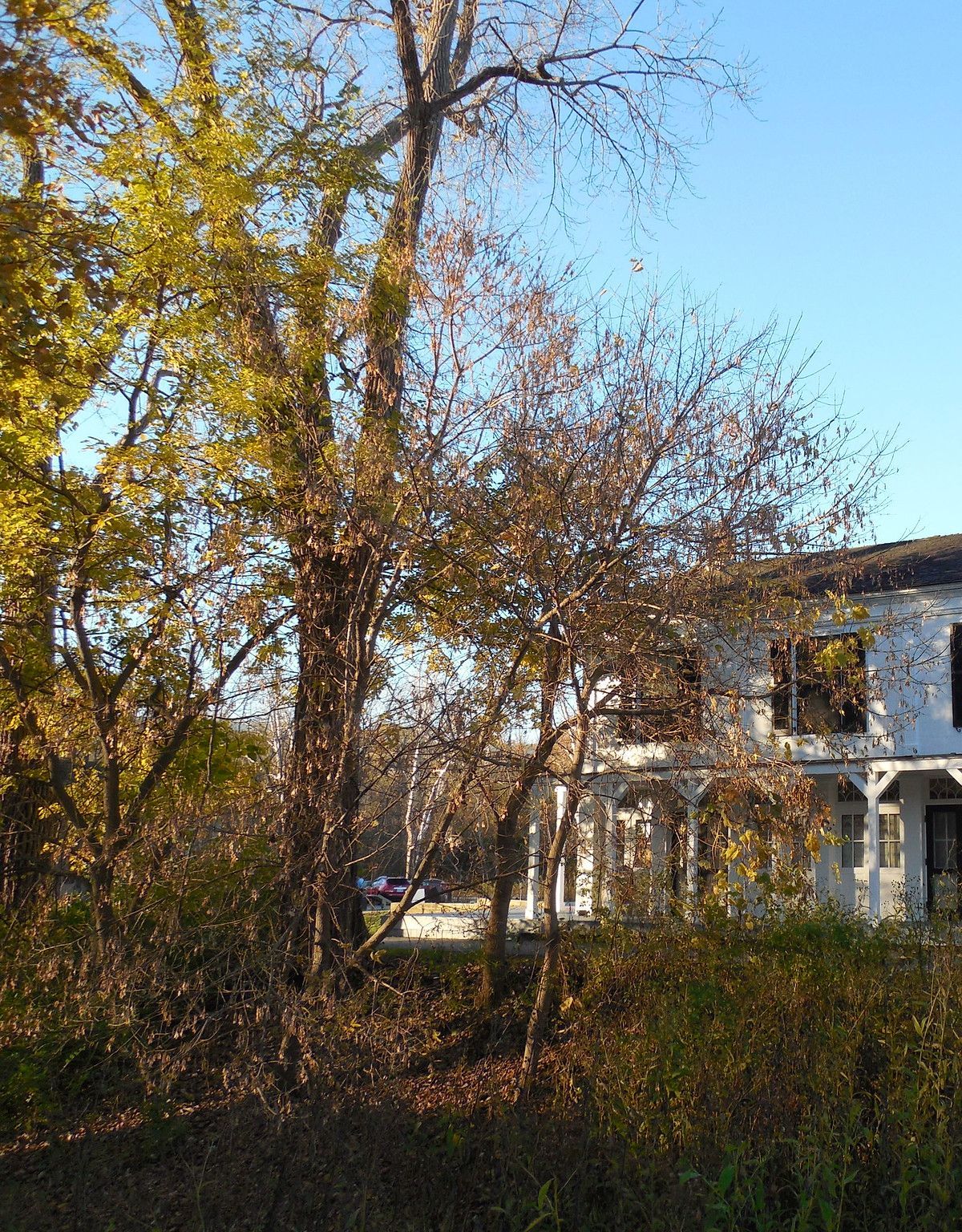 No Camping Here: Where to Stay Nearby, Cuyahoga Valley National Park