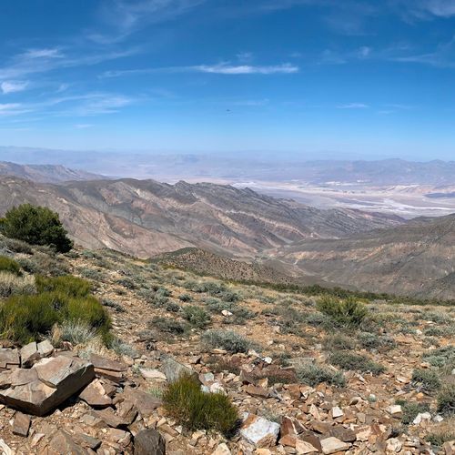 Wildrose Trail