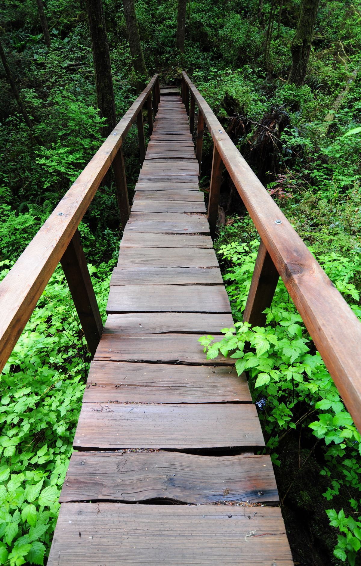 High Divide Traverse, Olympic National Park