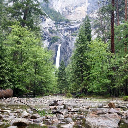 Falls View