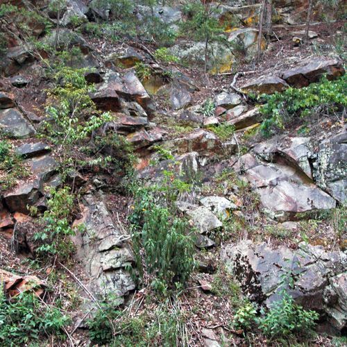 Meigs Mountain Trail