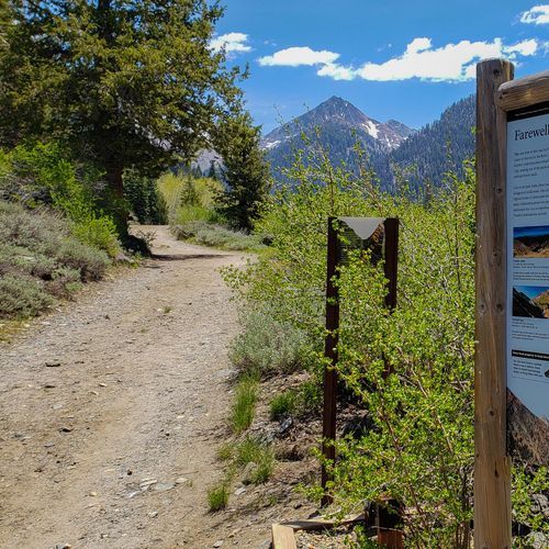 Farewell Gap Trail