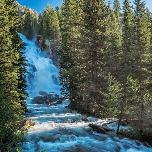 Cascade Canyon Trail