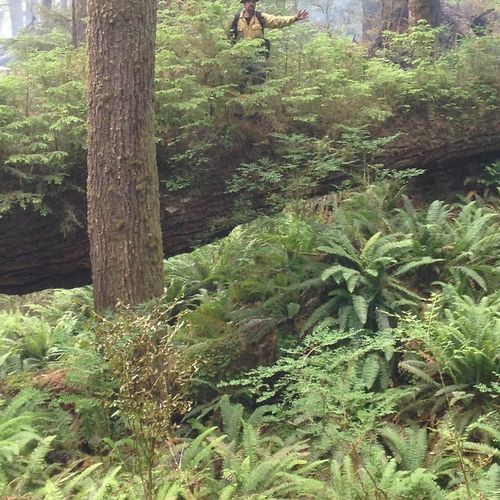 Pelton Creek Shelter