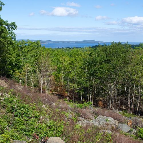 Viewpoint