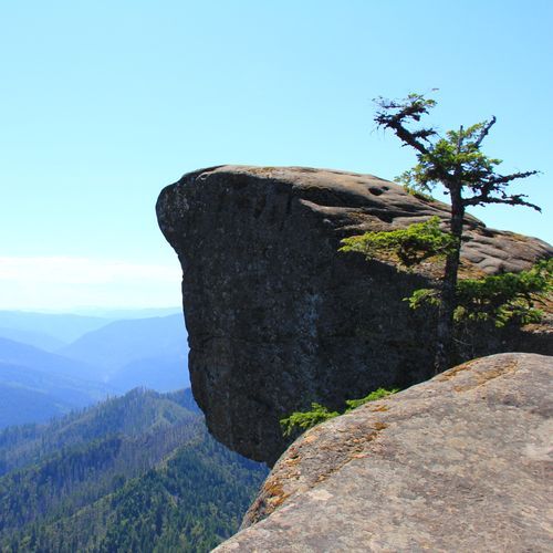 Otter Cliffs Rock Climbing