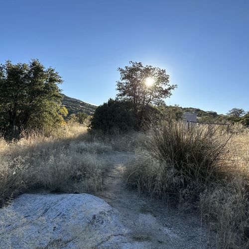 Douglas Spring