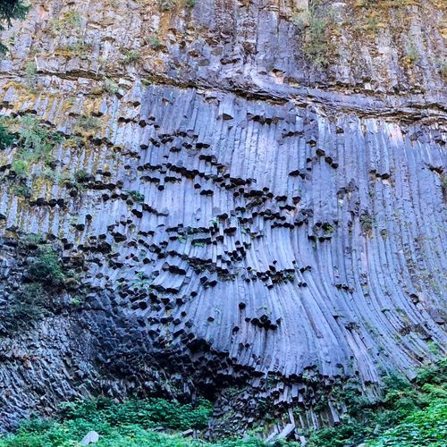 Puyallup Trail #248