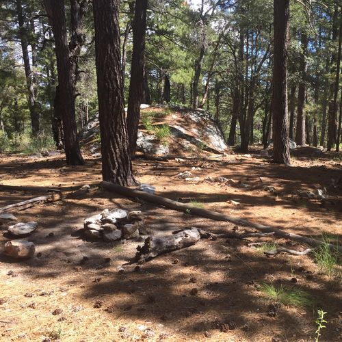 Spud Rock Spring