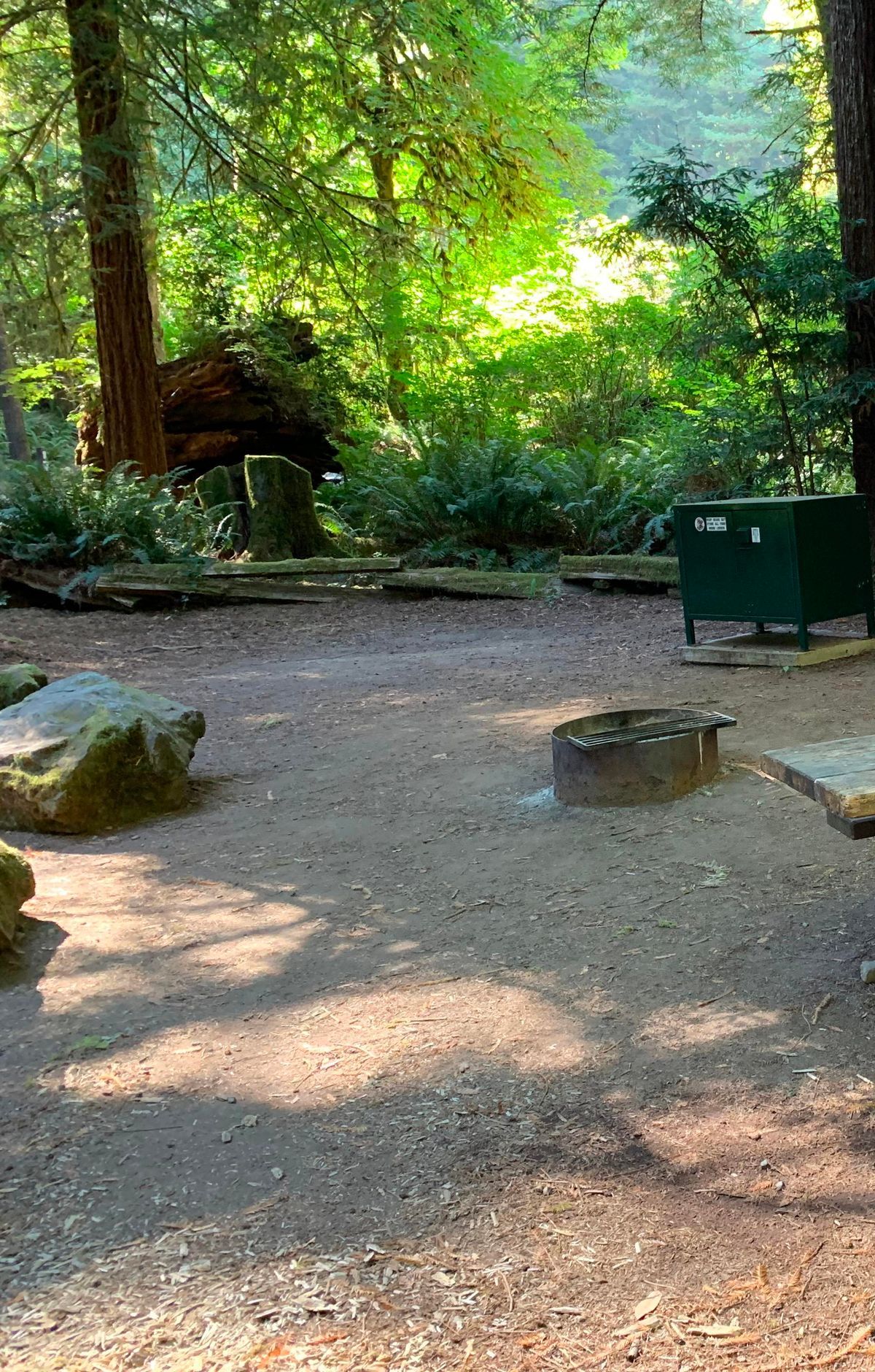 Camping in the State Parks, Not the National Park, Redwood National and State Parks