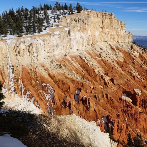 Bristlecone Loop Trail