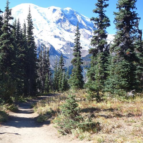 Emmons Moraine Trail