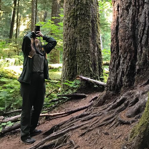 Twin Firs Trail