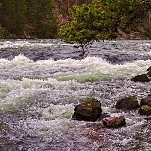 LeHardys Rapids