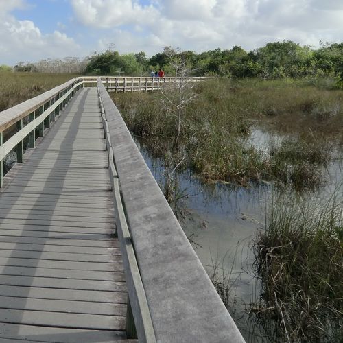 Pa-hay-okee Trail