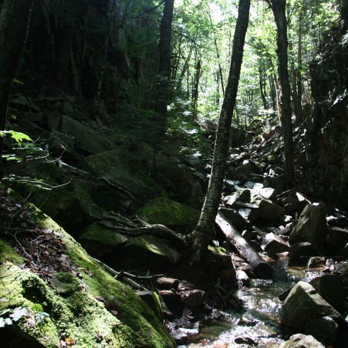 Gorge Path