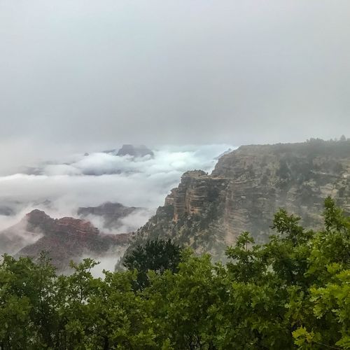 Viewpoint