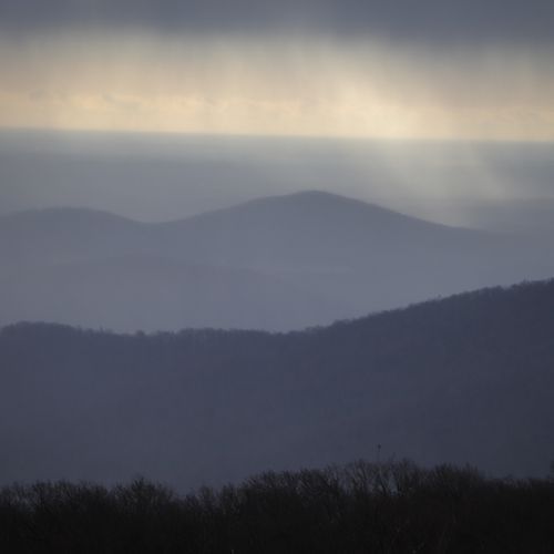 Viewpoint