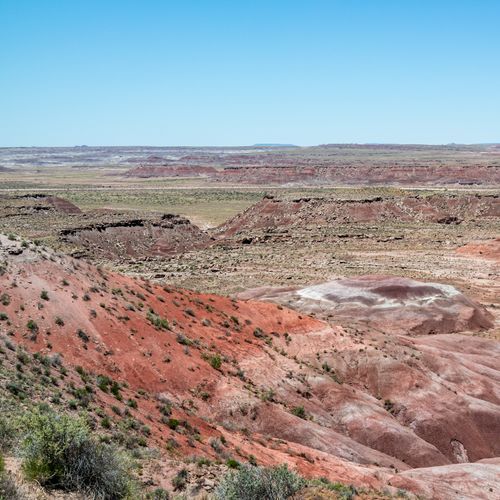 Whipple Point View