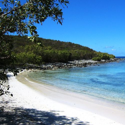 South Shore