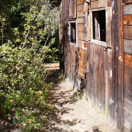 Squatters Cabin