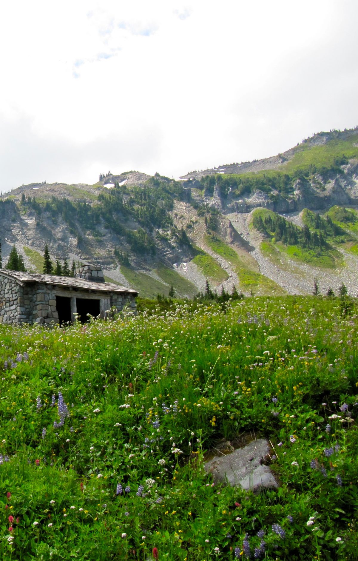 Indian Bar Trail, Mount Rainier National Park