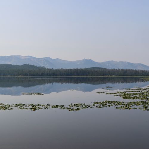 Mount Sheridan Trail