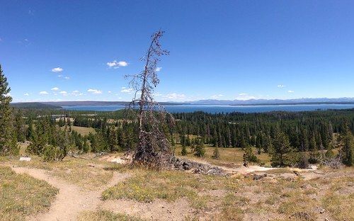West Thumb Overlook Loop Trail