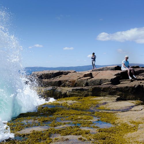 Schoodic Point