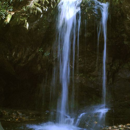 Trillium Gap Trail to Grotto Falls