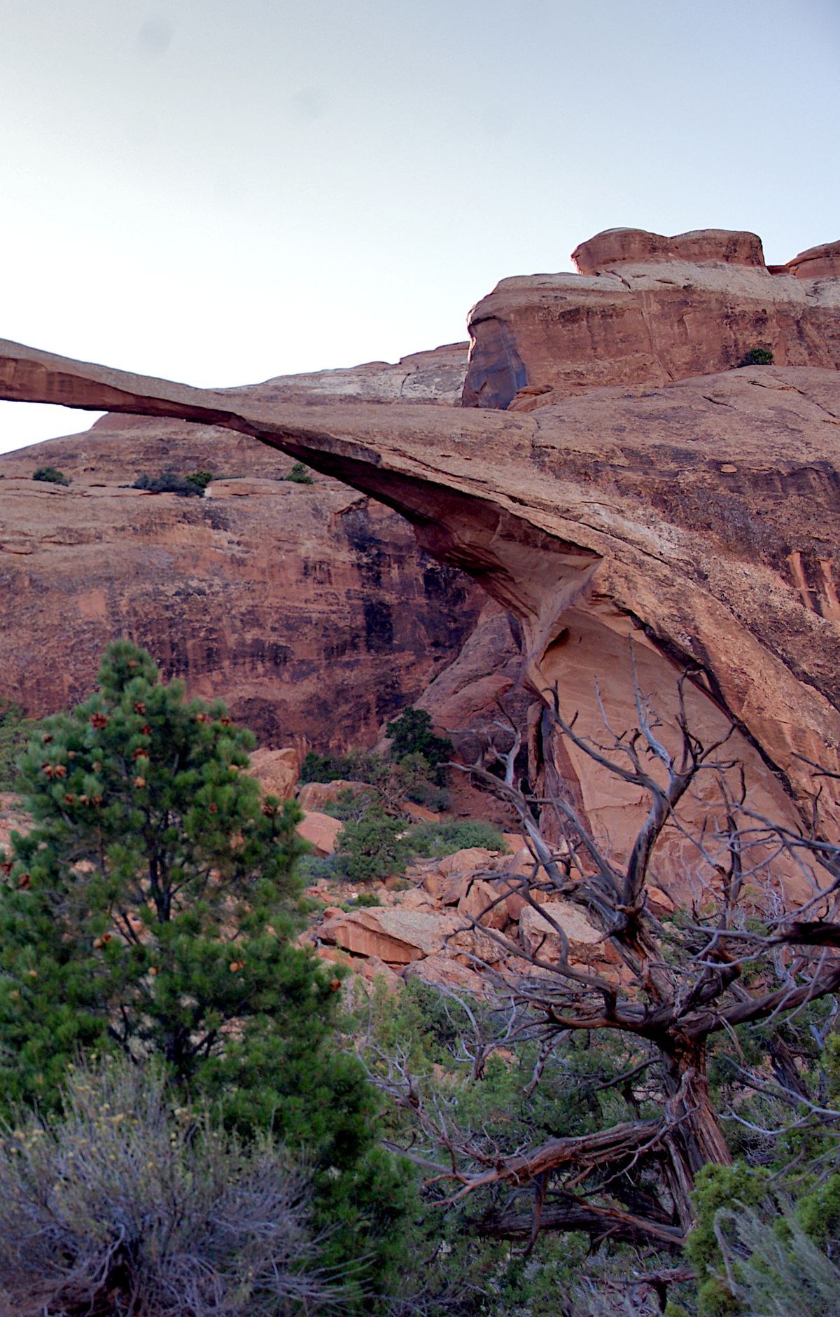 Devils Garden: Landscape Arch and Primitive Trail, Arches National Park