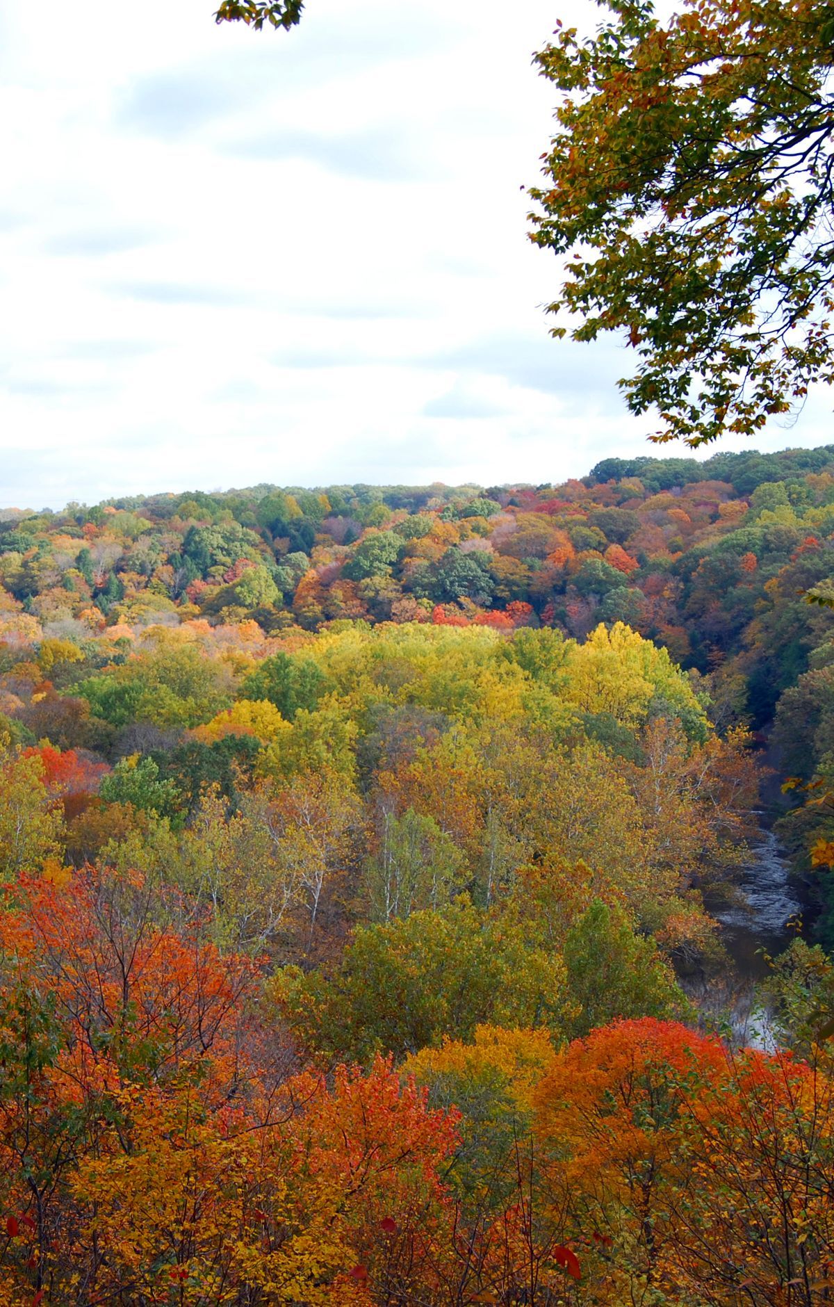 Fall Color and Frozen Falls: When to Visit, Cuyahoga Valley National Park