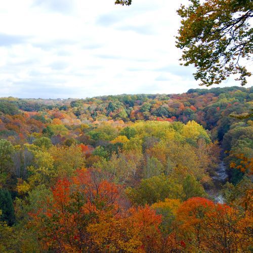 Bridal Veil Falls Overlook
