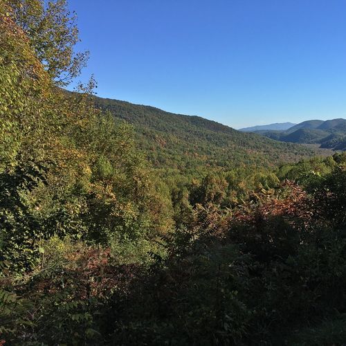 Viewpoint