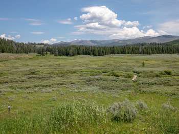 Fawn Pass Spur/Bacon Rind TH