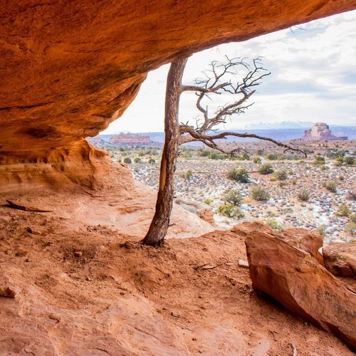 Aztec Butte Trail