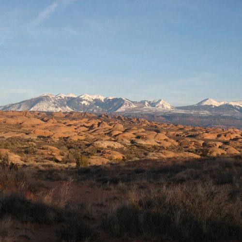 Petrified Dunes Viewpoint