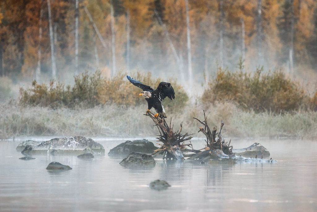 Coast Versus Interior: Two Climates, One Park, Lake Clark National Park & Preserve